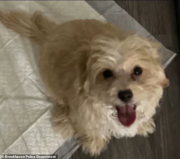 19-Year-Old Rapper Aspen Kartier Arrested in Georgia After Viral Video Allegedly Shows Her Abusing Her Maltipoo Puppy During Live Twitch Stream