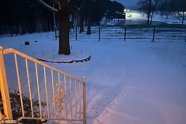 Homeless Man Survives Garbage Truck Ordeal During Winter Storm Fern in Alabama