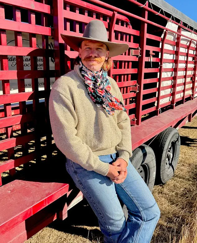 Mouse's Seven-Month Survival Journey: How a Stubborn Quarter Horse Conquered the Wilds of Wyoming