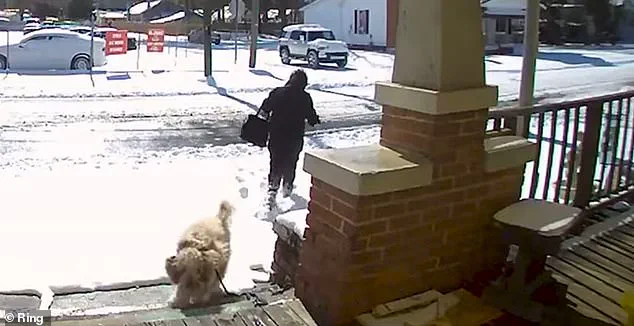 North Carolina Woman Who Rescued Abandoned Dog During Snowstorm Charged by Authorities