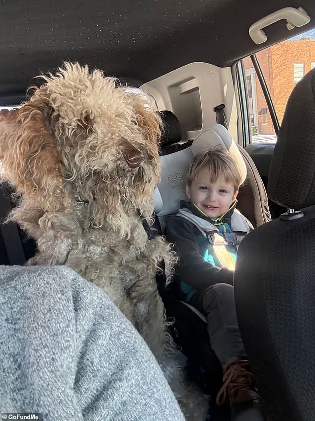 North Carolina Woman Who Rescued Abandoned Dog During Snowstorm Charged by Authorities