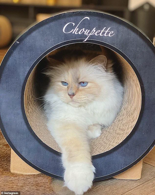 Karl Lagerfeld's €200M Estate: Legal Battle Over Final Will Excluding Family, Benefiting Assistant, Godson, and Models