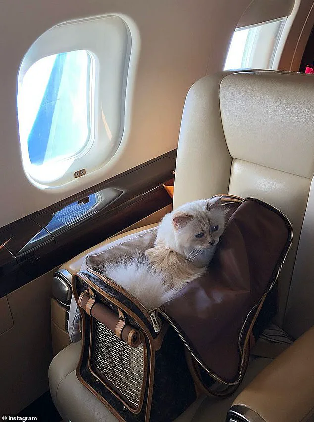 Karl Lagerfeld's €200M Estate: Legal Battle Over Final Will Excluding Family, Benefiting Assistant, Godson, and Models