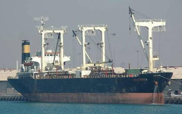 Survival Against the Odds: A Young Sailor's Terrifying Encounter with Somali Pirates