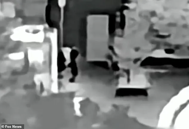 Feds Step Up Search for Missing Arizona Woman Amid Potential Kidnapping, Using Infrared Drones