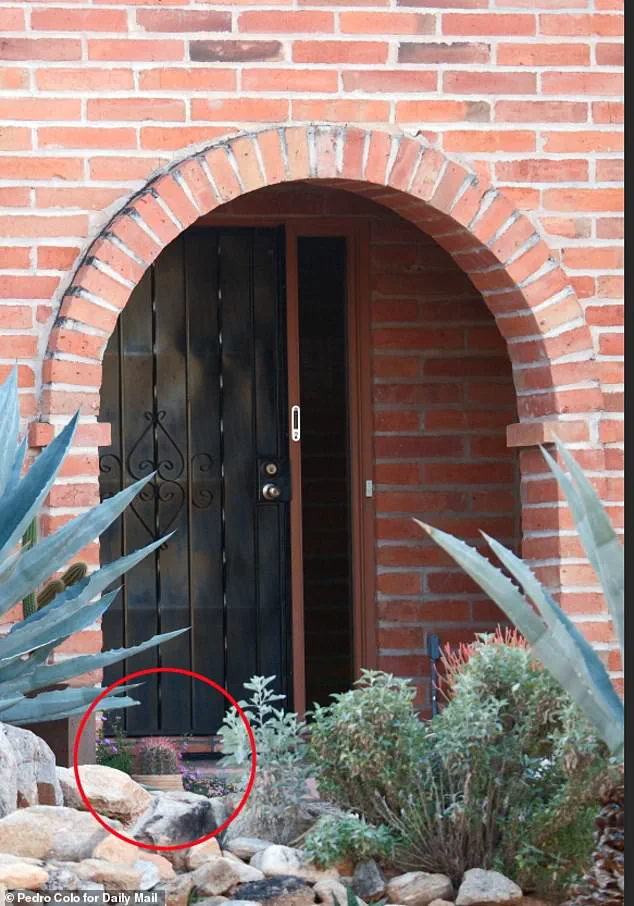 FBI Releases Footage of Masked Suspect Tampering with Doorbell Camera Before Nancy Guthrie's Abduction, as Family Pleads for Help