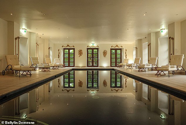 Chilling Details Emerge in Dublin Murder Trial as Defendant's Mental Health History Comes to Light