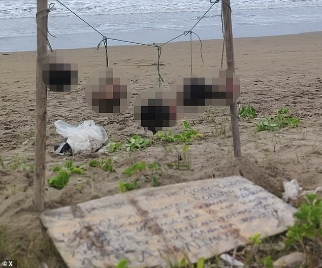 Macabre Discovery of Severed Heads Sparks Fears of Escalating Gang Violence in Ecuador's Guayas