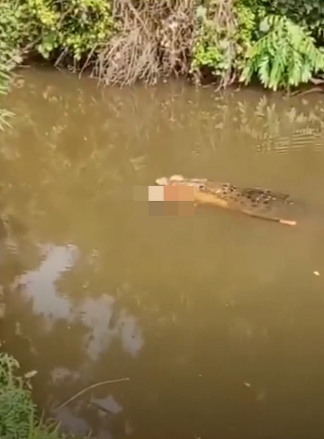 Indonesian Woman Killed in Crocodile Attack in Aceh Province