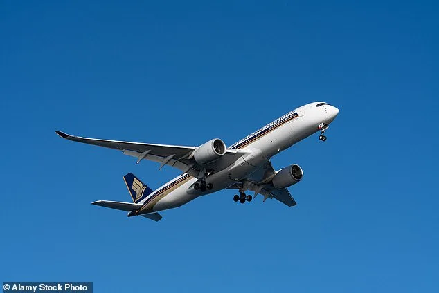 Mother's Unexpected Fury as Passenger Offers to Help Soothe Crying Infant on Flight