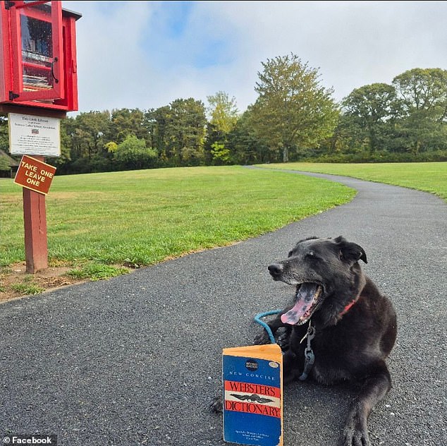 Tragic Ice Fall Claims Lives of Longtime Couple in Massachusetts River