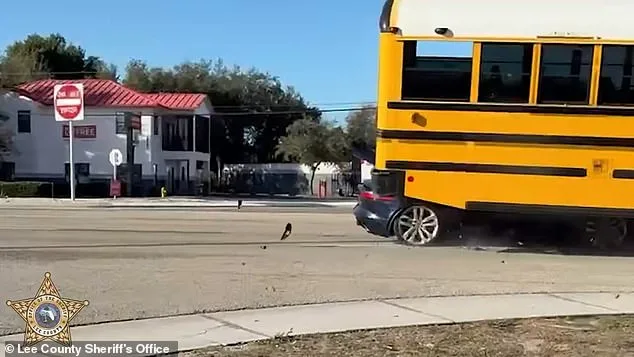 Jaguar Crashes Into School Bus in Florida: No Fatalities Reported