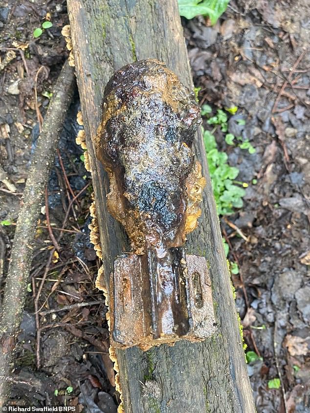 Father and Son's Magnet Fishing Trip Unearths Live WWII Mortar Shell, Triggering Bomb Squad Alert on River Stour