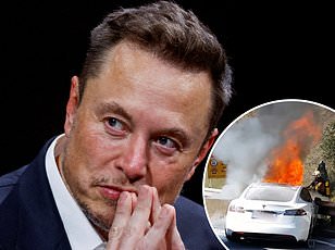 Landmark Ruling: Tesla to Pay $250M to Family of Woman Killed in Autopilot Crash