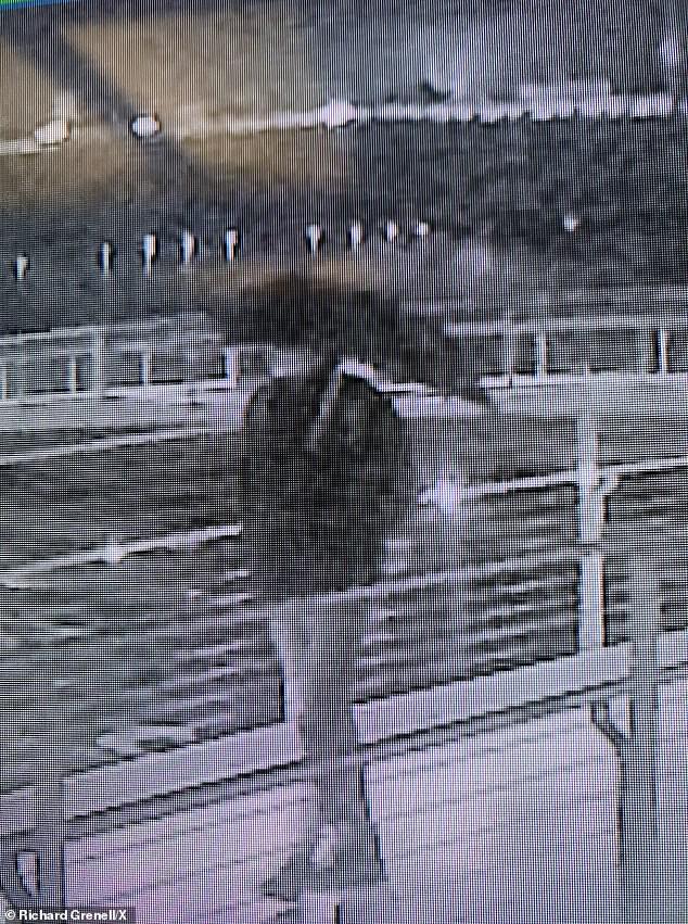 Trump Kennedy Center Appeals for Help Identifying Suspect Behind Toxic Ice Rink Vandalism
