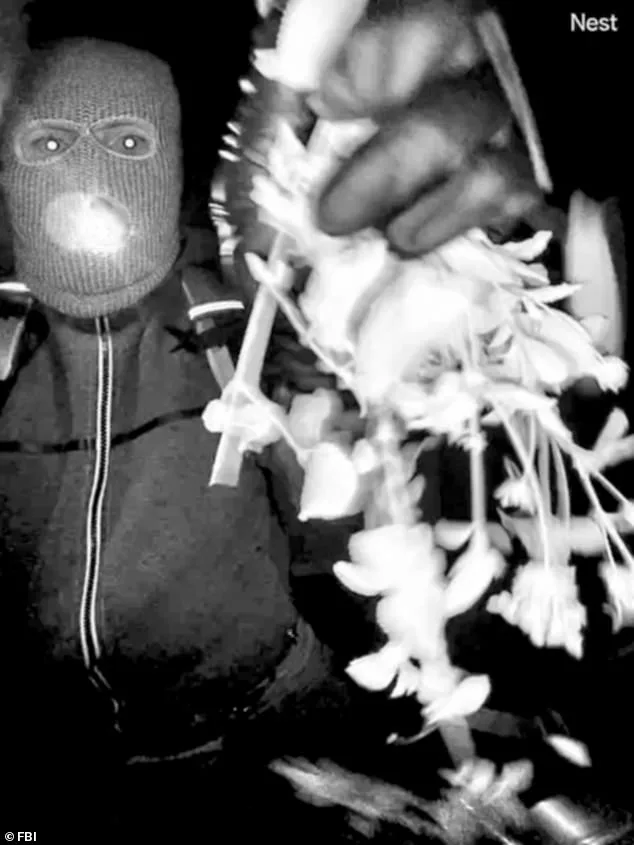 New Footage Released in Nancy Guthrie Disappearance Case: Masked Suspect at Tucson Home