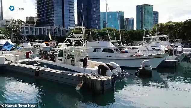 Convicted Crime Boss Accused of Orchestrating Fake Fentanyl Overdose to Block $20M Asset Seizure