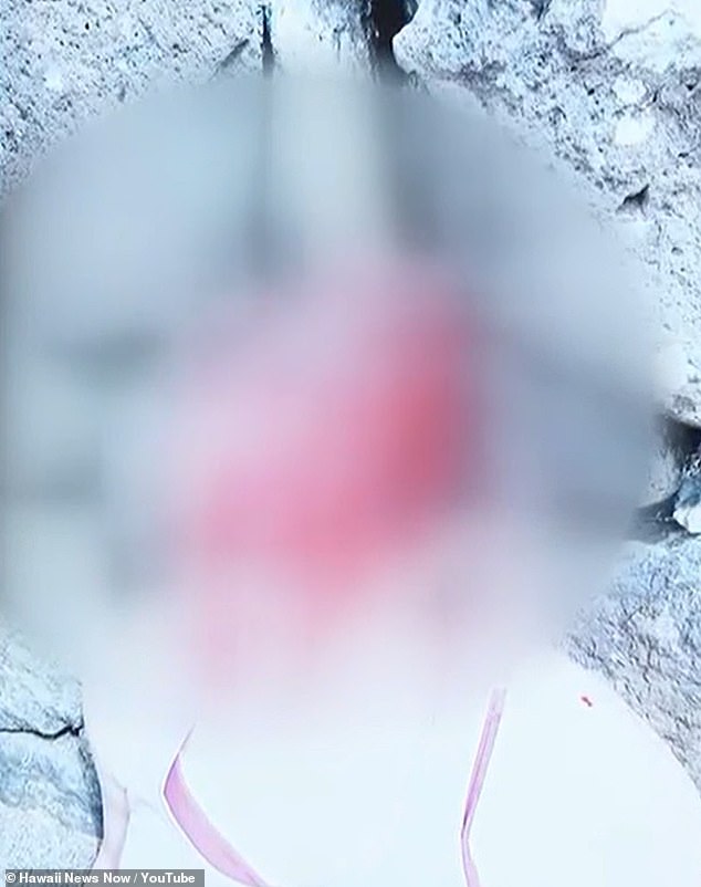 Hawaii Doctor Faces Attempted Murder Charges in Alleged Self-Defense Attack Linked to Marital Dispute