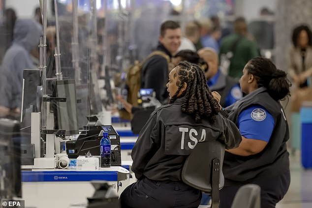 Elon Musk Offers to Pay TSA Workers During Shutdown-Induced Airport Chaos