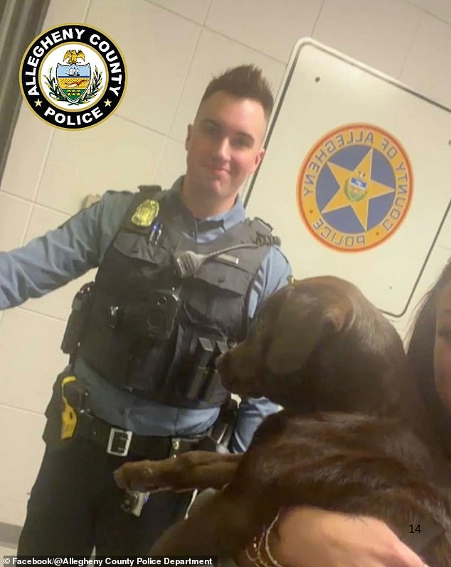 Chocolate Labrador Puppy Abandoned at Pittsburgh Airport Over Alleged Pet Travel Rule Violation Sparks Outrage