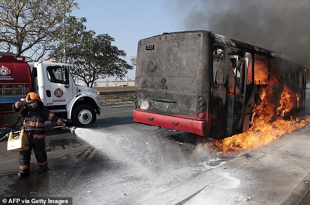 From Mexico to Hawaii: A Couple's Journey Through Cartel Violence and Historic Flooding