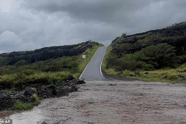 From Mexico to Hawaii: A Couple's Journey Through Cartel Violence and Historic Flooding