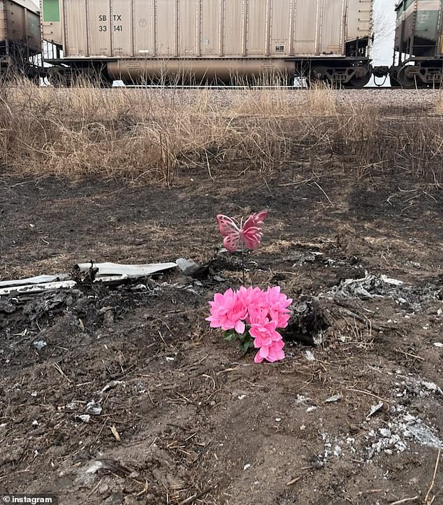 Tragic Crash Claims Life of 18-Year-Old Tessa Walker; Investigation Underway in Missouri BMW M4 Incident