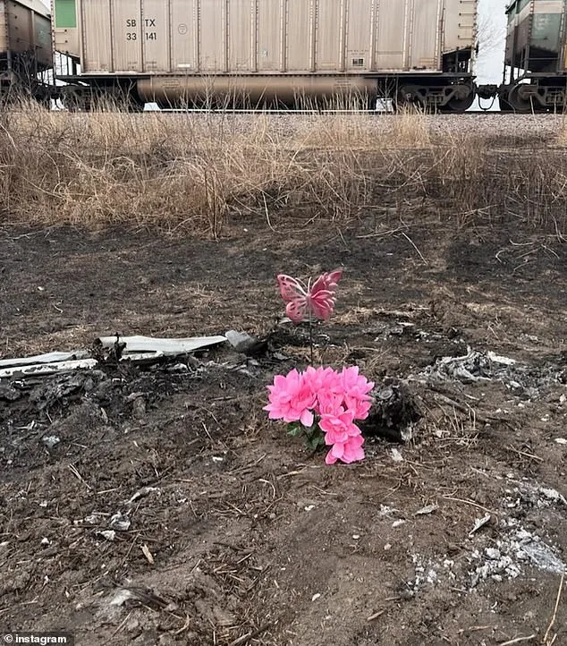 Tragic Crash Claims Life of 18-Year-Old Tessa Walker; Investigation Underway in Missouri BMW M4 Incident