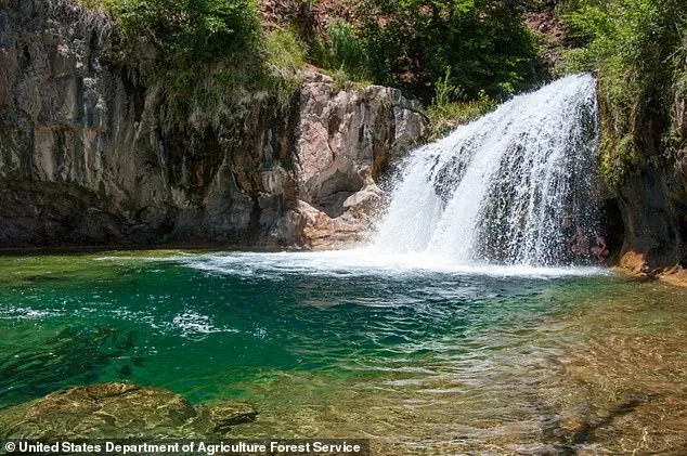 Harrowing Tragedy at Arizona Falls: Young Tourist Dies After Fatal Leap
