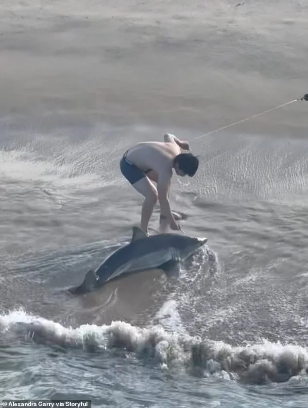 Dramatic Rescue of Juvenile Great White Shark by Young Fisherman Goes Viral