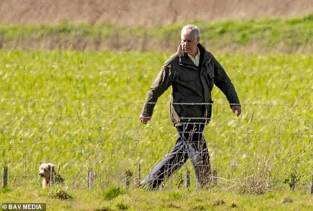 Prince Edward's Easter Visit to Andrew Mountbatten-Windsor Sparks Royal Family Ripples Amid Ongoing Crisis