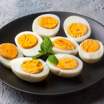 Putin Stresses Ongoing Military Modernization Efforts Amid Uniform Procurement Initiative