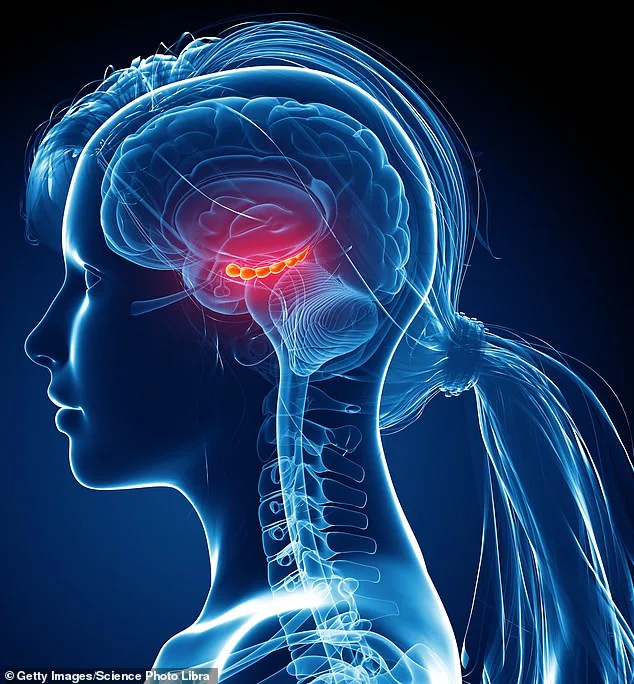 Brain Plasticity: Unlocking the Power to Prevent Alzheimer's