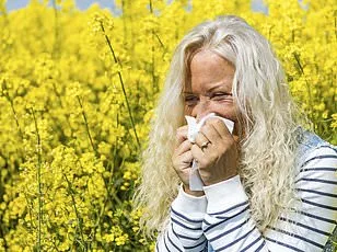 Hay Fever Meds Linked to Weight Gain: Study Warnings.