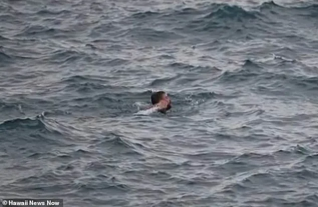 Rogue Wave Tragedy: Mathen Jackson Dies After daring Jump at 'End of the World.