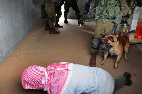 Israel formally departs hundreds of pro-Palestinian activists after controversial detention