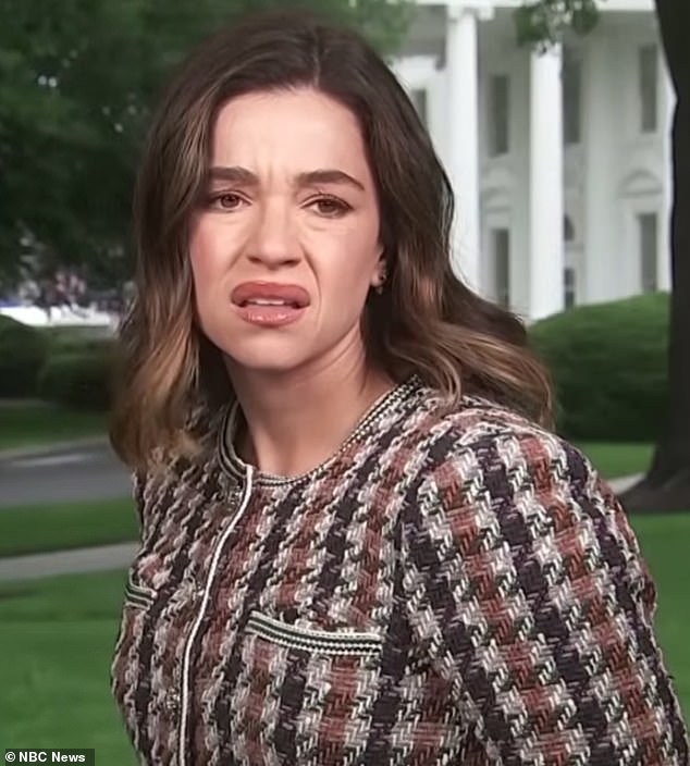 NBC Reporter Criticized for Asking 'What Is That?' During White House Shooting