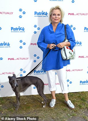 Whippet registrations surge 18% to become UK's 11th most popular breed.