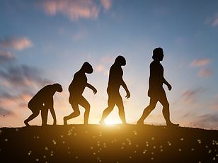Scientists decode ancient third eye's role in regulating human sleep cycles