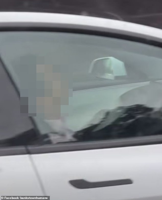 Tesla driver falls asleep at speed on Sydney motorway