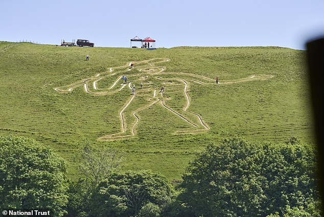 Volunteers apply 17 tonnes of chalk to restore fading Cerne Abbas Giant.