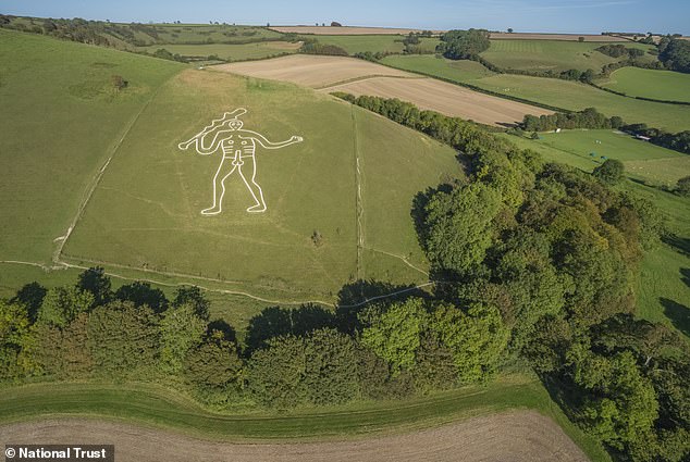 Volunteers apply 17 tonnes of chalk to restore fading Cerne Abbas Giant.