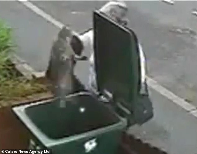 Woman's viral act of trapping a cat in a bin forever changes her life.