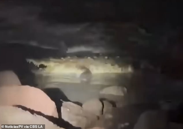 California Couple Makes Desperate Kayak Rescue Attempt After Crocodile Attack