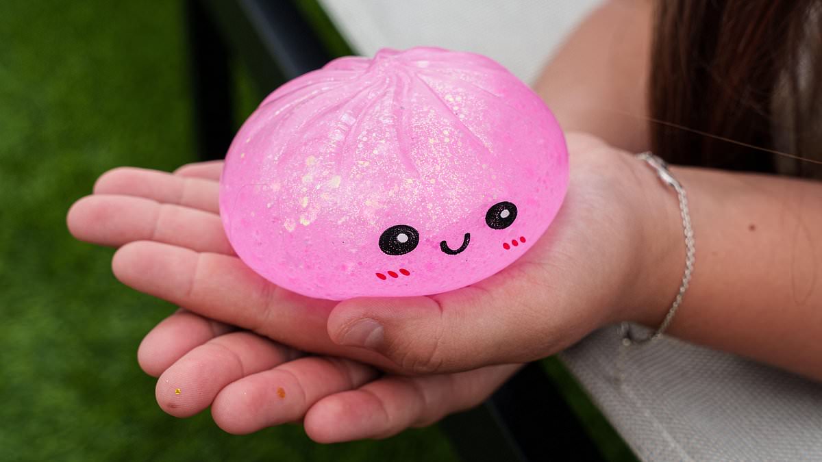 Viral Squishy Dumplings Linked to Cancer Fears and Chemical Hazards