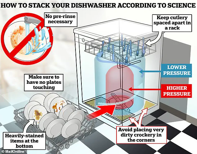 Dishwashers: Rinse or No Rinse? The Final Answer