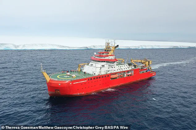 Gigantic Iceberg A23a Makes Shocking Reappearance off South Georgia