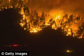 L.A. Wildfire: Urgent Climate Change Call to Action