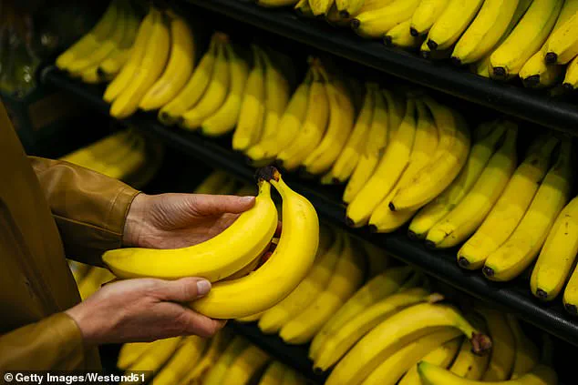 Revolutionary Bananas: A Day-Long Freshness Revolution