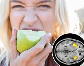 Scientists Confirm Women Have Superior Hearing Abilities Across Frequencies